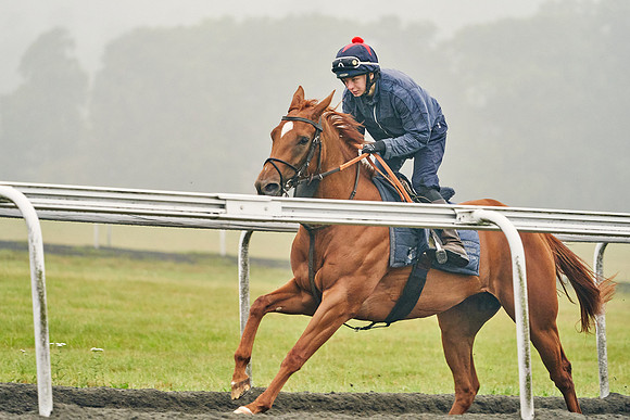 14th-August-Dominic-James-06314