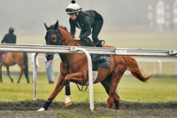 Warren Hill 002 14th August