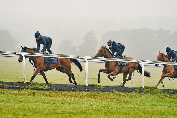 14th-August-Dominic-James-06405