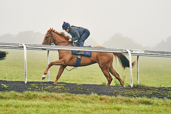 14th-August-Dominic-James-06416