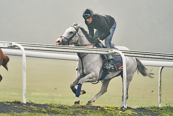 14th-August-Dominic-James-06559