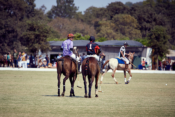 Oyster Cup Polo tournament