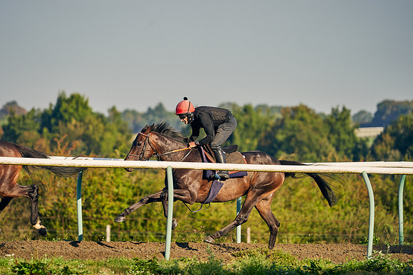 2020-09-02-DominicJames-2201