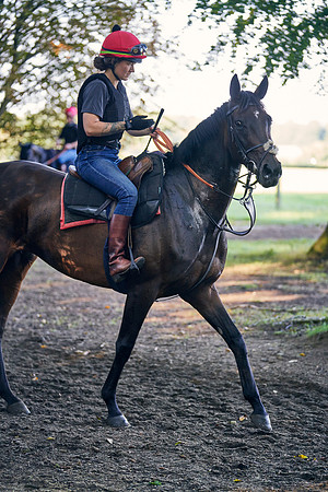 2020-09-02-DominicJames-2885