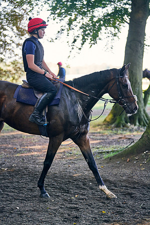 2020-09-02-DominicJames-2887