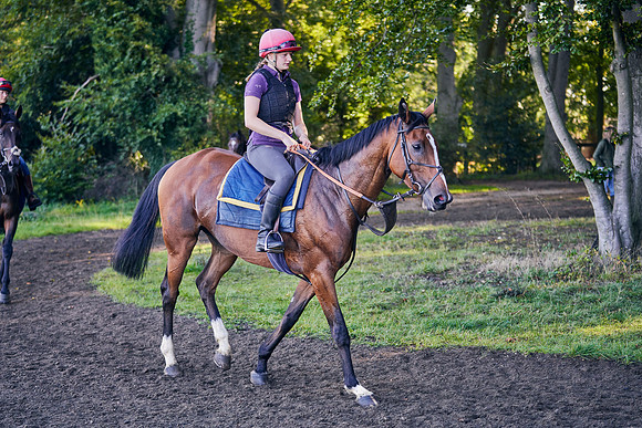 2020-09-02-DominicJames-3014