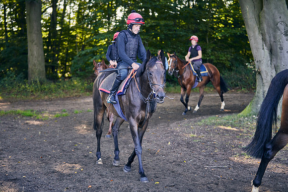 2020-09-02-DominicJames-3076