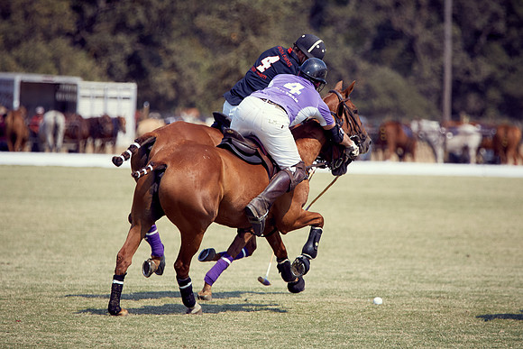 Oyster Cup Polo tournament