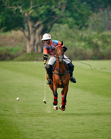 THAI-POLO-PRACTICE-2020-01-21-Dominic-James_DJ92198.ARW9021