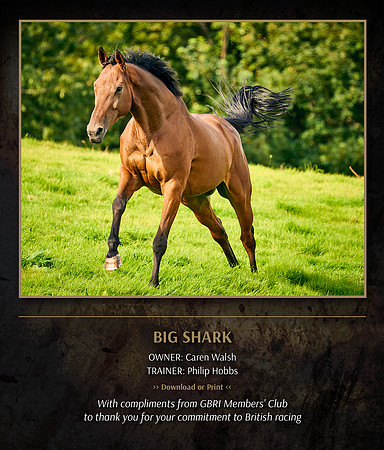 PH Big Shark