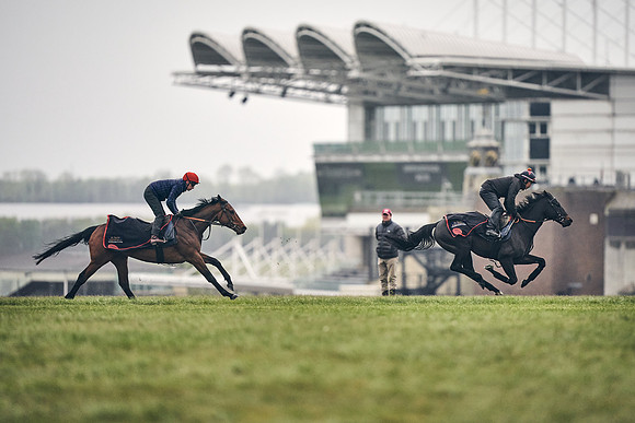 HORSES-IN-TRAINING-18TH-APR-DJ-0372