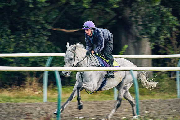 23rd-Sept-Dominic-James-00034