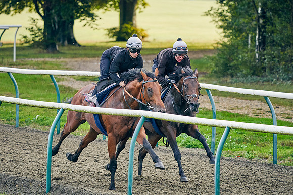 23rd-Sept-Dominic-James-01304