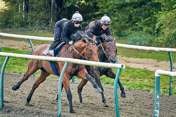 23rd-Sept-Dominic-James-01312