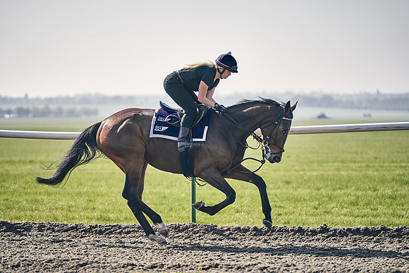 GEORGE-BOUGHEY-RACING-DJ-3417