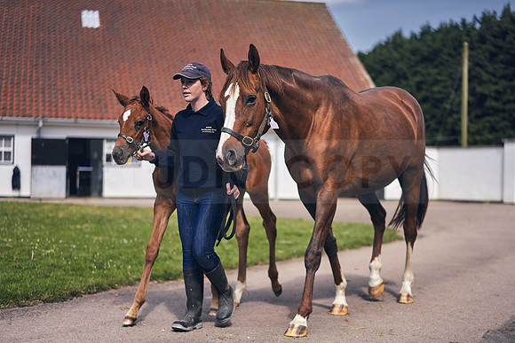 The-National-Stud-Dominic-James_DOM9615