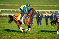 23rd Feb 22 Warren Hill 006