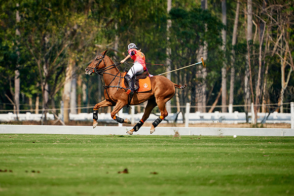 THAI-PINK-POLO-2020-Dominic-James_DJ98792.ARW2918