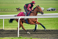 Warren Hill 003 31st Oct