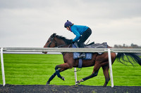 Warren Hill 003 31st Oct