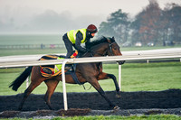 Warren Hill 001 5th nov