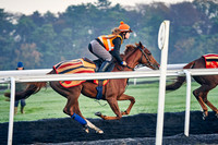 Warren Hill 001 5th nov