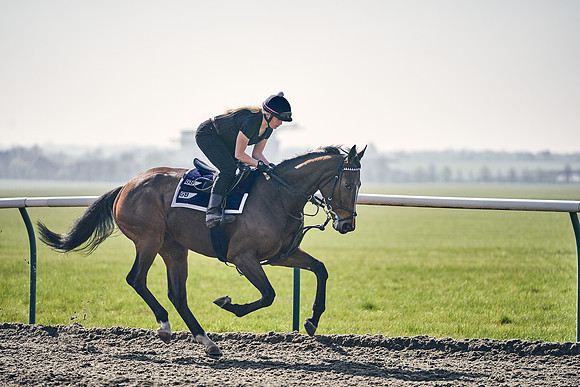 GEORGE-BOUGHEY-RACING-DJ-3411