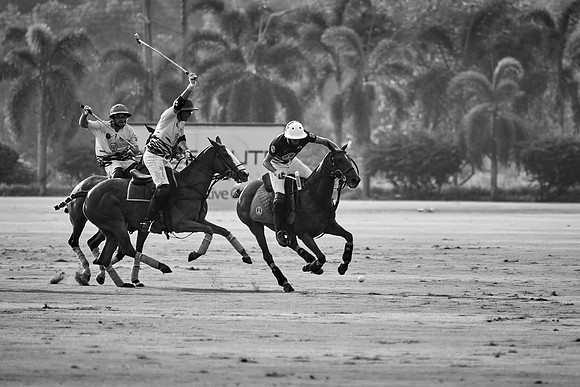 THAI-POLO-OPEN-2019_DJ_0922