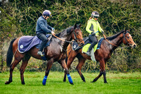 Sir Michael Stoute Al Bahathri 25th Nov