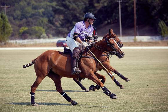 Oyster Cup Polo tournament