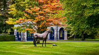 009-Coolmore