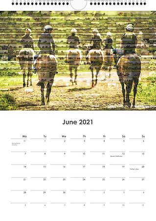 A3 006 June