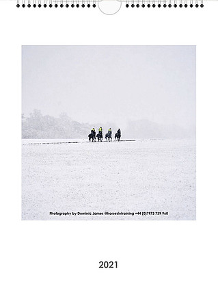 A3 Wall Calendar 29.7cm x 42cm