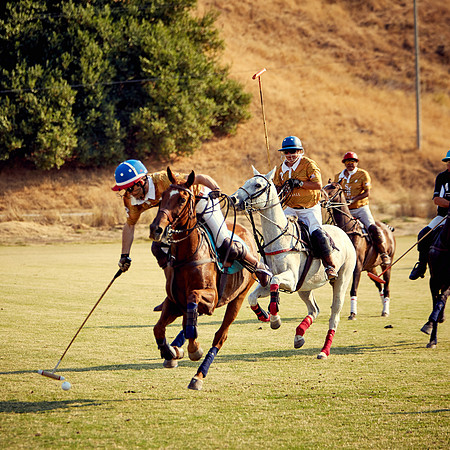 Oyster Cup Polo tournament