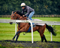 002G Roger Varian