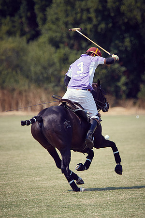 Oyster Cup Polo tournament