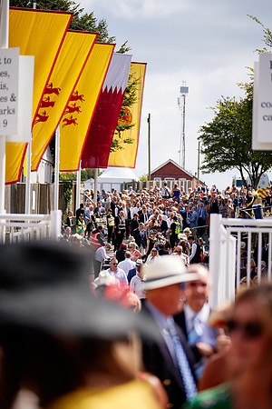 QGF2019_DominicJames-03403