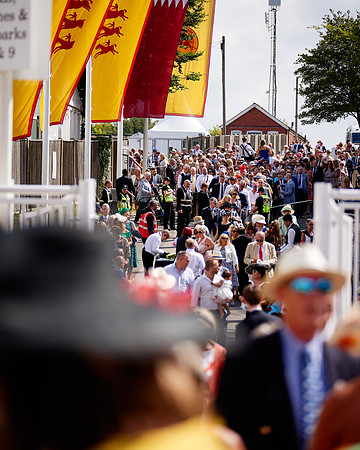 QGF2019_DominicJames-03404