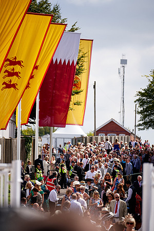QGF2019_DominicJames-03409