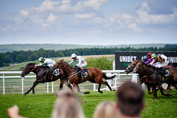 QGF2019_DominicJames-06109