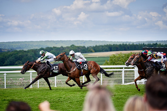 QGF2019_DominicJames-06110