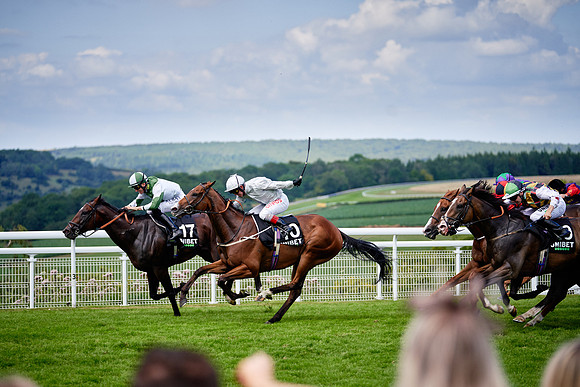 QGF2019_DominicJames-06111
