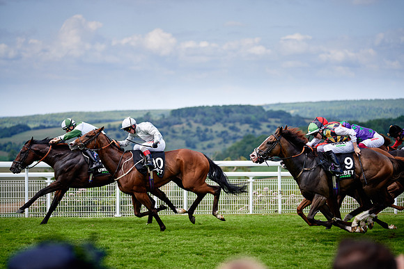 QGF2019_DominicJames-06114
