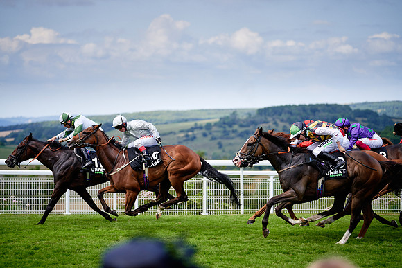 QGF2019_DominicJames-06115