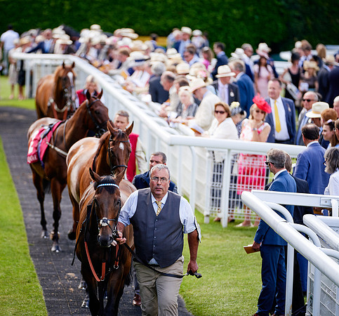 QGF2019_DominicJames-06128