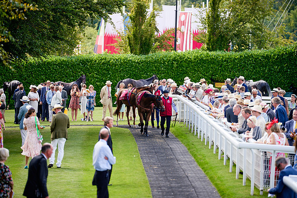 QGF2019_DominicJames-06151