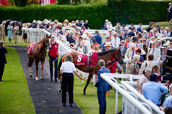 QGF2019_DominicJames-06155