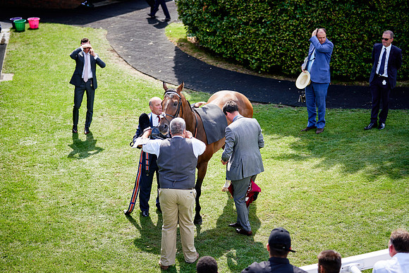 QGF2019_DominicJames-06162
