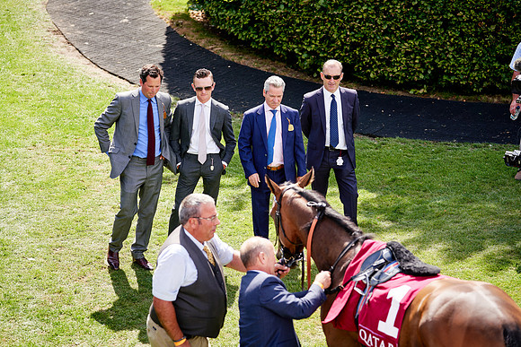 QGF2019_DominicJames-06185
