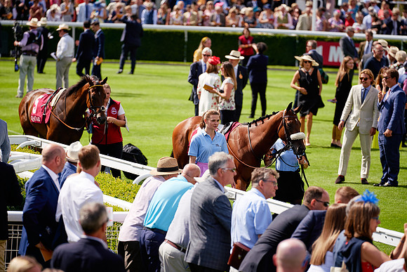 QGF2019_DominicJames-06189